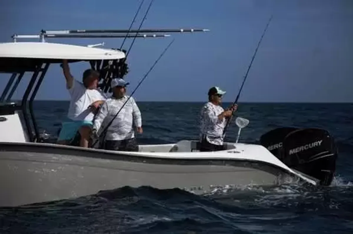 2026 Cape horn 32SX