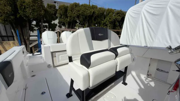 2025 Robalo R250-10