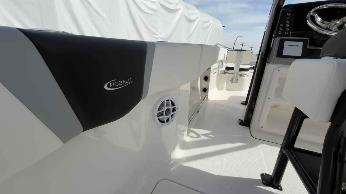 2025 Robalo R250-29