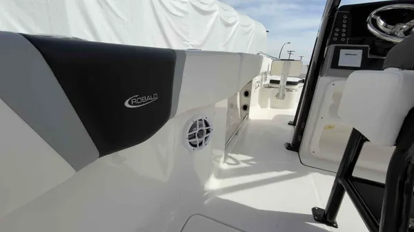 2025 Robalo R250-29