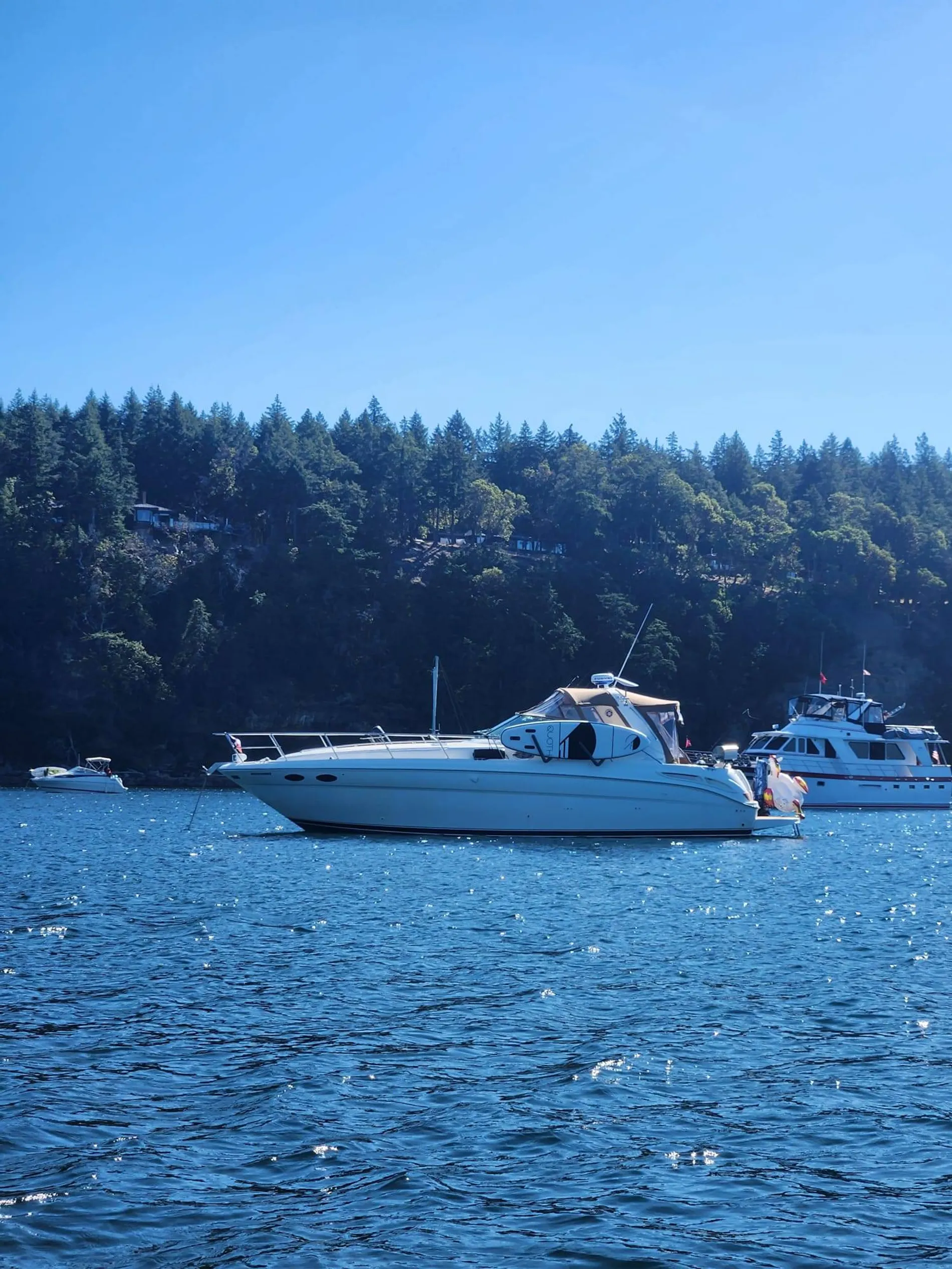 Pre-Owned 2000 Sea ray Sundancer 380 for Sale | Vancouver, BC | M&P Yacht Centre | 63640e094b86ba9ee3014ed6