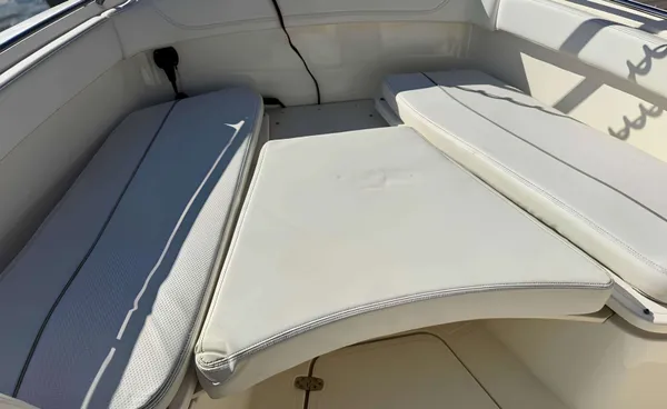 2021 Pursuit S 268 detail image 18