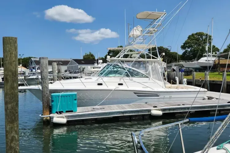 boats gallery images