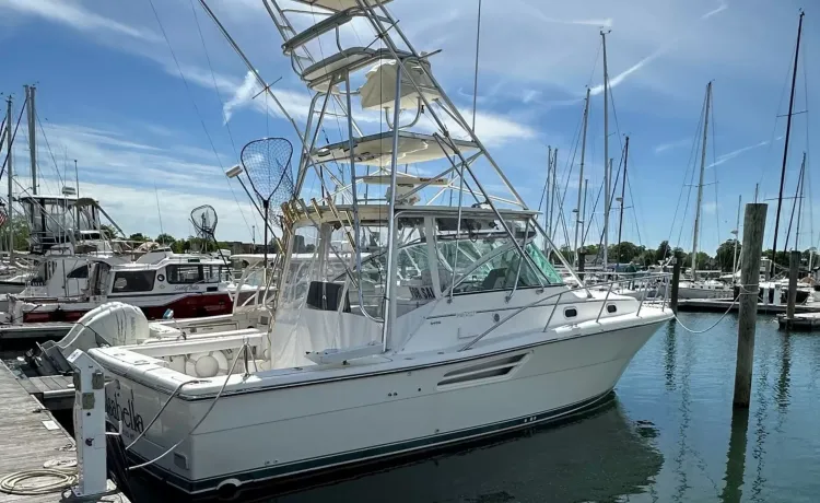 boats gallery images