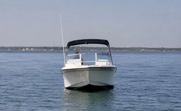 2006 Grady White 225 detail image 3