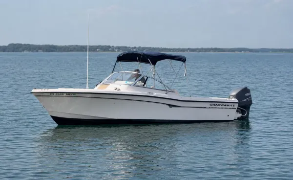 2006 Grady White 225 detail image 4
