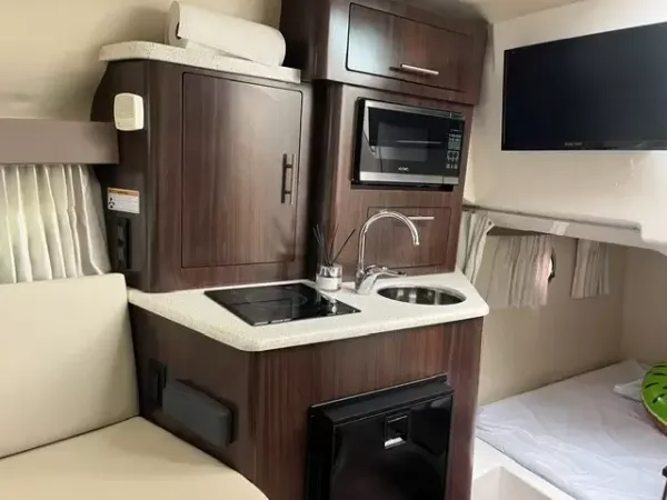 2018 Regal 28 EXPRESS detail image 12