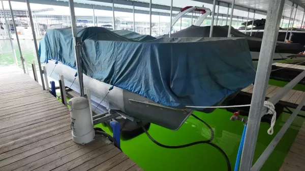 2019 Suncatcher V322 Fish-32