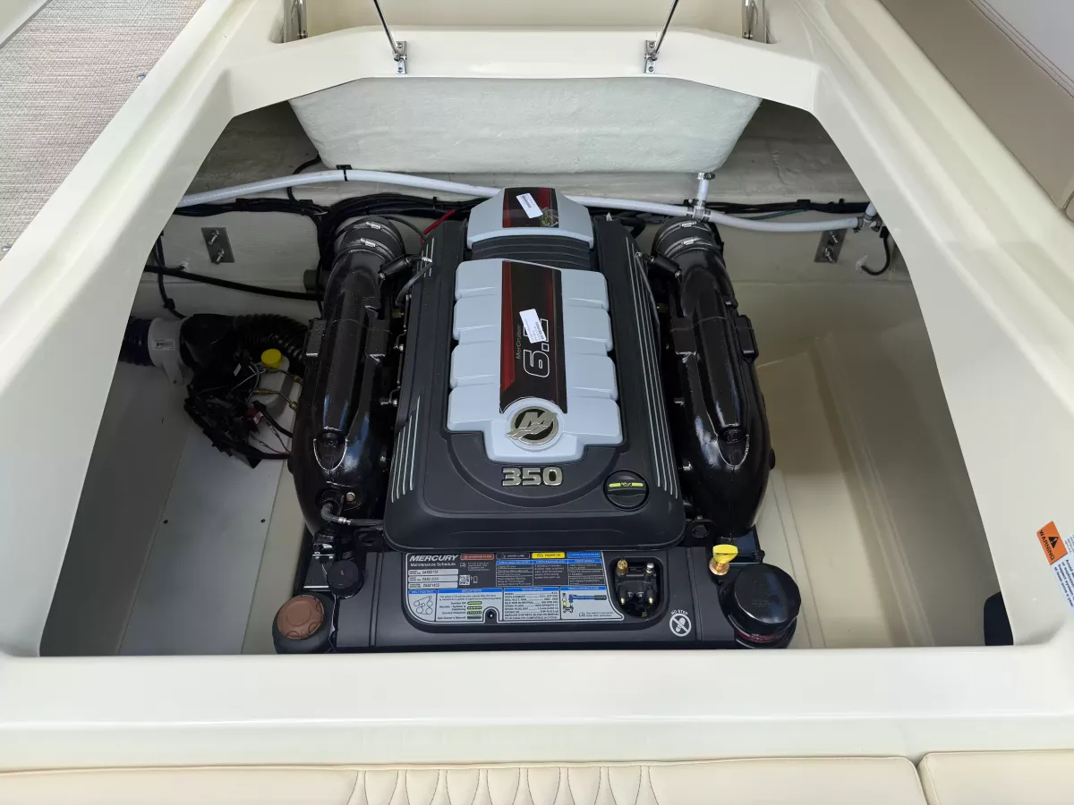 dummy-boat-img