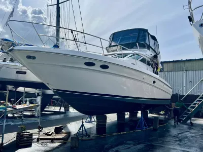 Pre-Owned 1996 Sea ray 400 Sedan Bridge for Sale | Vancouver, BC | M&P Yacht Centre | 6a32f5cb9ac939009c099641
