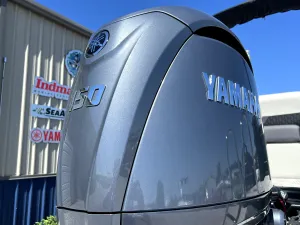 2026 Sylvan R22 CLZ DH