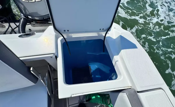 2021 Blackfin 272 DC detail image 14