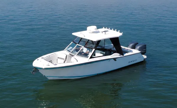 2021 Blackfin 272 DC detail image 1