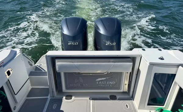 2021 Blackfin 272 DC detail image 9
