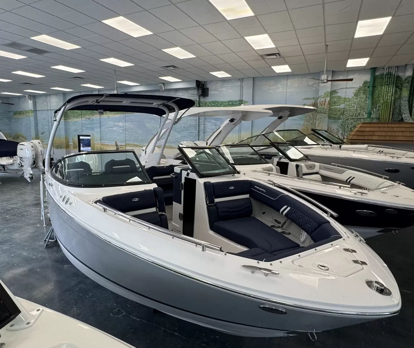 boat Image