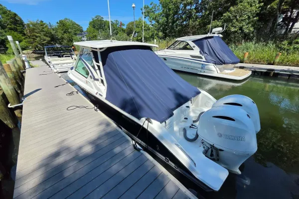 2021 Pursuit DC 266 detail image 3