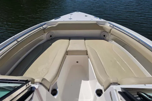 2021 Pursuit DC 266 detail image 21