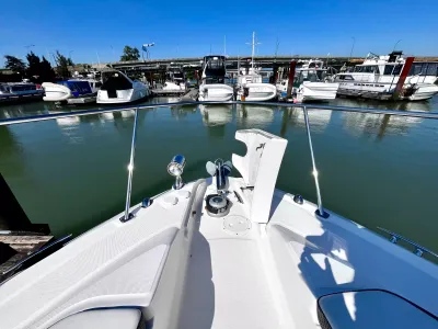 Pre-Owned 2018 Sea ray Sundancer 350 Coupe for Sale | Vancouver, BC | M&P Yacht Centre | 6a7bff4a7dff9dfbb50888a8
