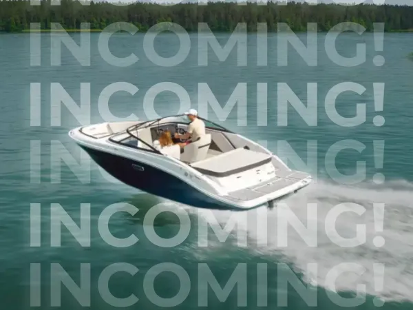 Sea Ray SPX 190-1