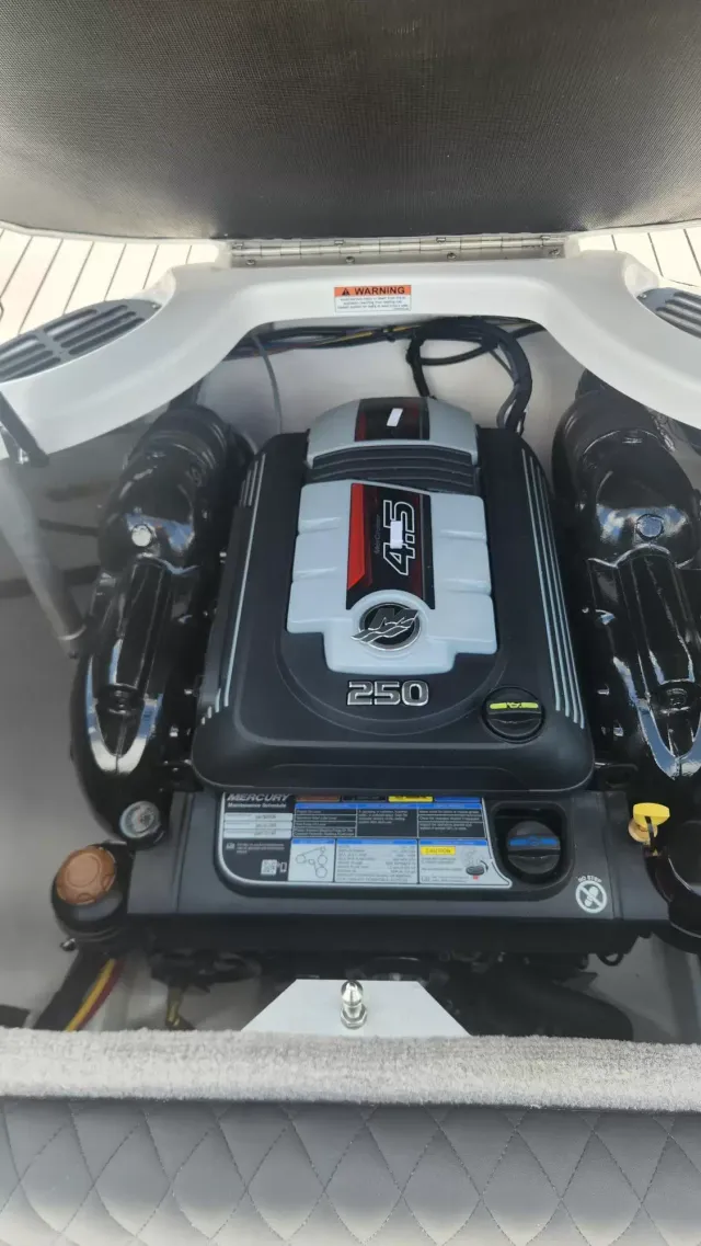 Boat Thumbnail 11