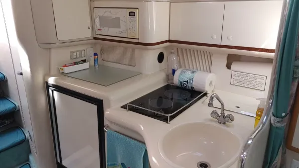 1996 Sundancer 330-25