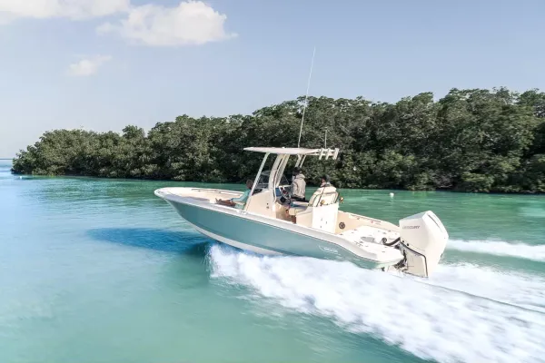 2027 Boston Whaler 250 Dauntless-4