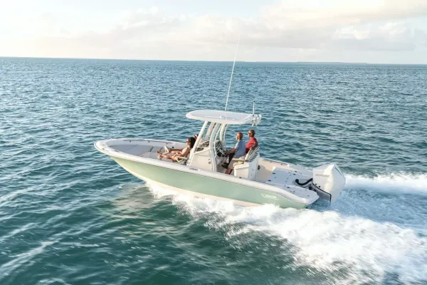 2027 Boston Whaler 250 Dauntless-5