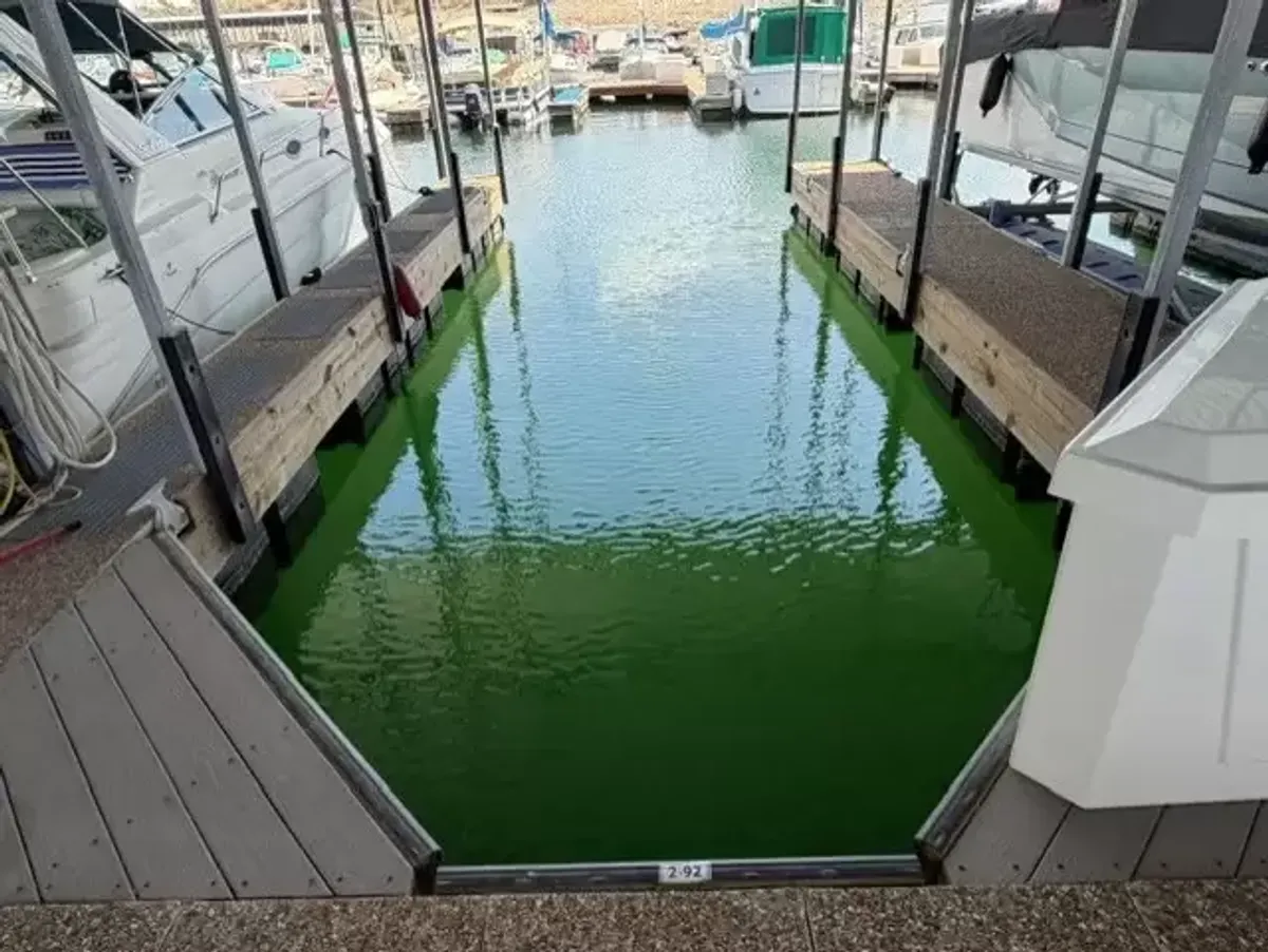 dummy-boat-img
