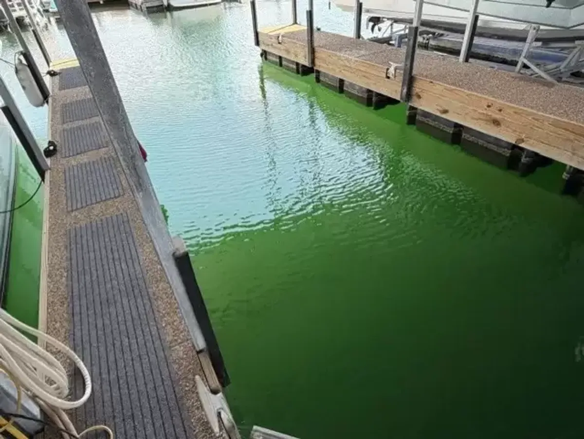dummy-boat-img