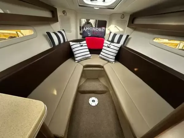 Searay 260 Sundancer 2014-10