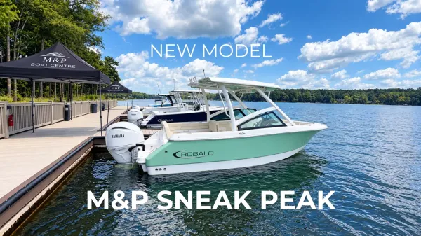 2027 Robalo 237