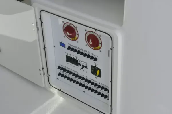 2020 Pursuit DC 295 detail image 16