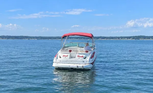 2008 Crownline 240 LS detail image 6
