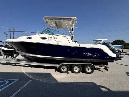 2019 Robalo R305