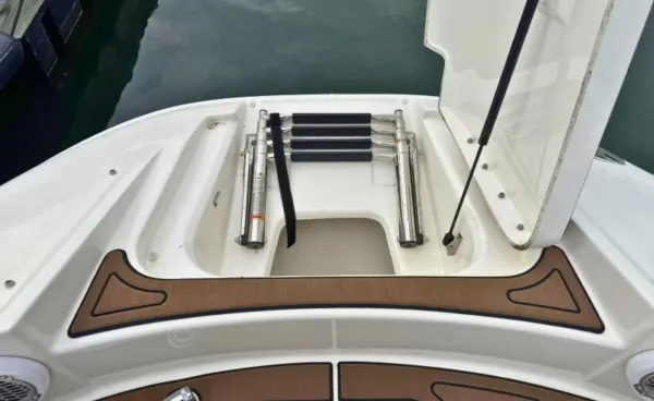 2013 Searay 260 SUNDECK detail image 34