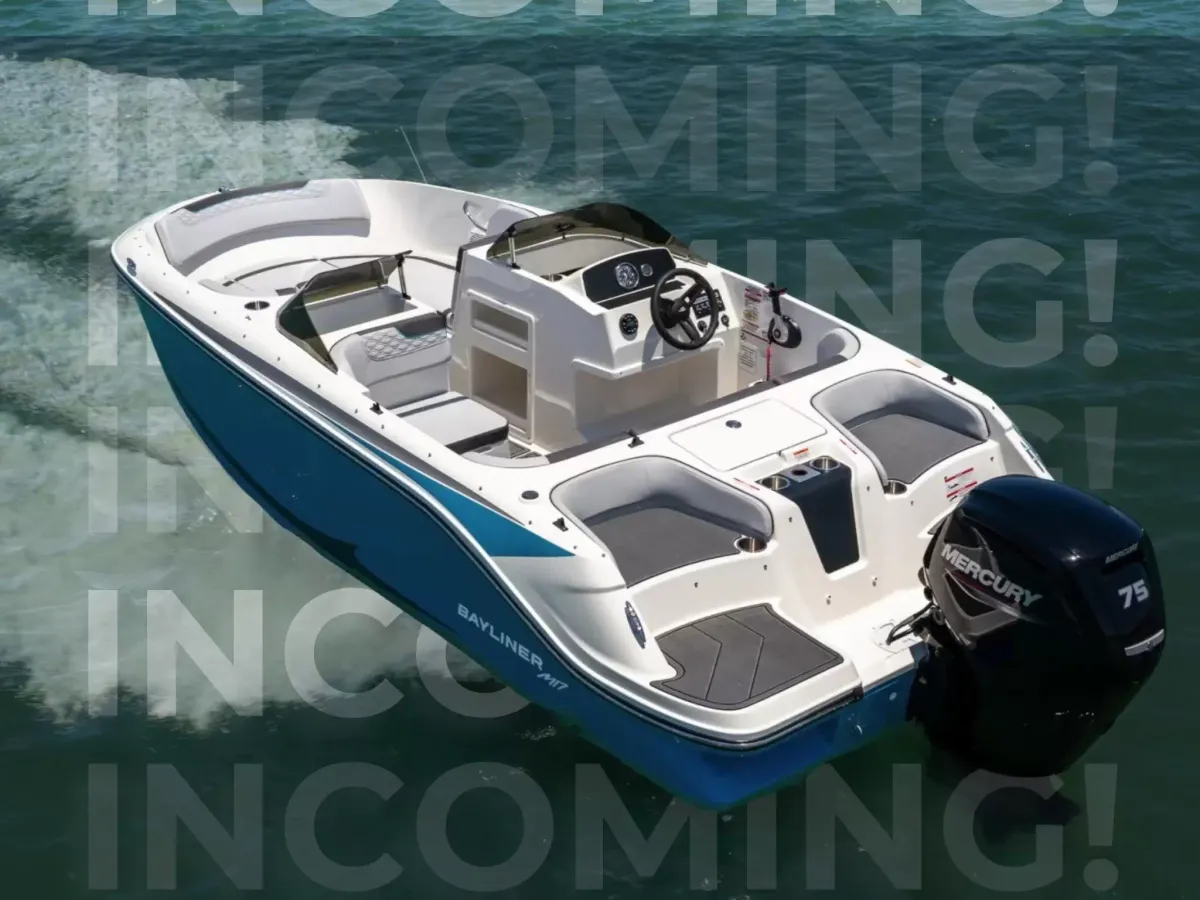 Bayliner 17 Element-1