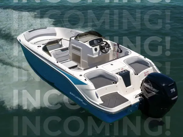 Bayliner 17 Element-1