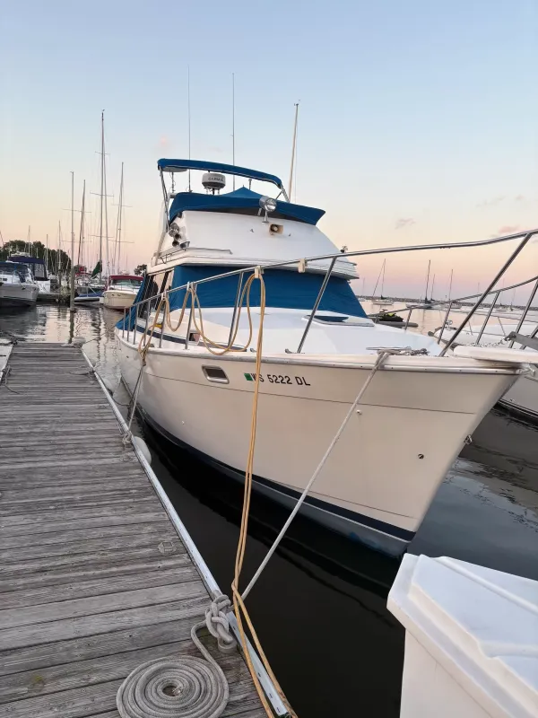 Bayliner 3218 Motor Yacht 1988-2