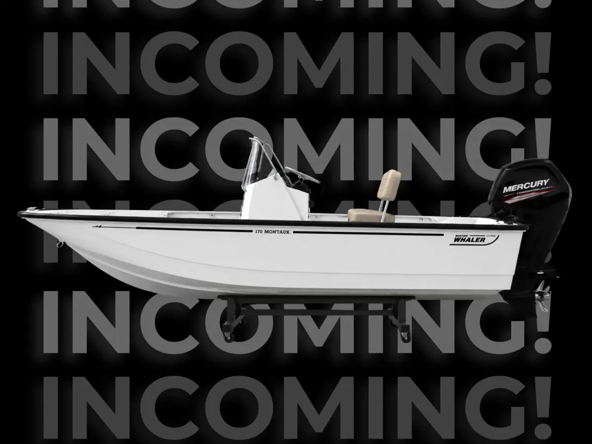 2027 Boston Whaler 17 Montauk-1