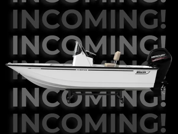 2027 Boston Whaler 17 Montauk-1