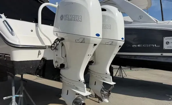 2019 Pursuit DC 265 detail image 2