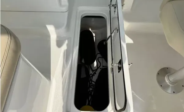 2019 Pursuit DC 265 detail image 22