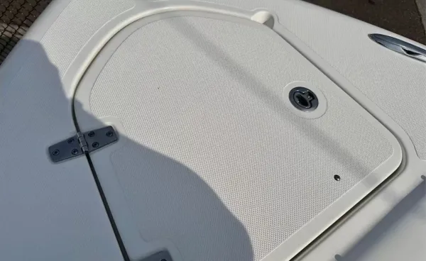 2019 Pursuit DC 265 detail image 27