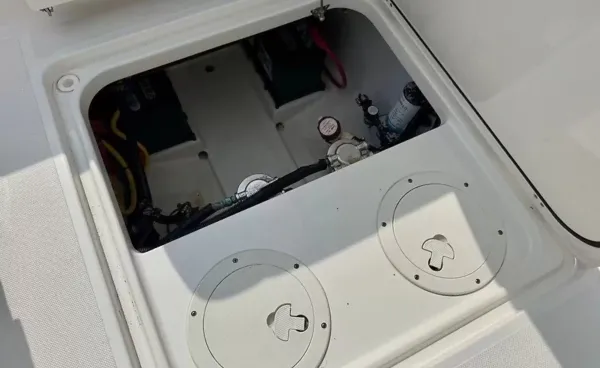 2019 Pursuit DC 265 detail image 29