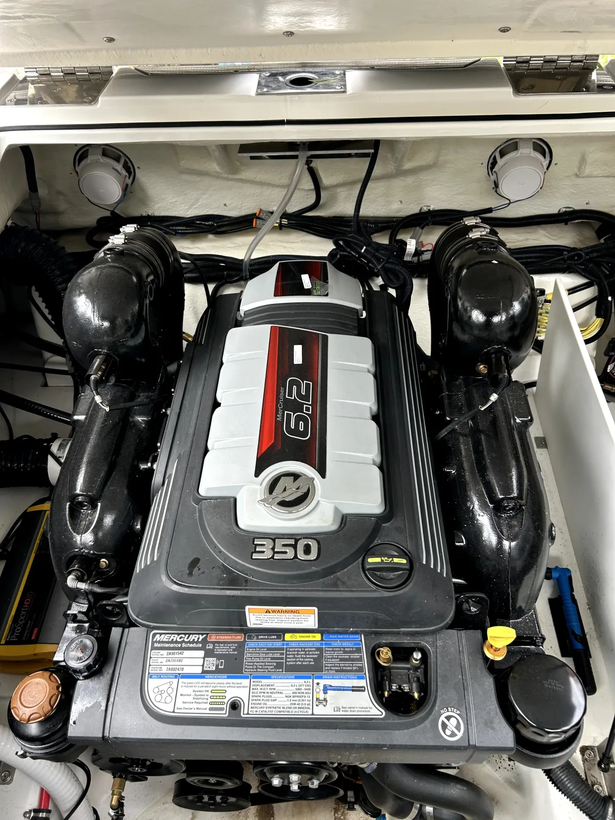 dummy-boat-img