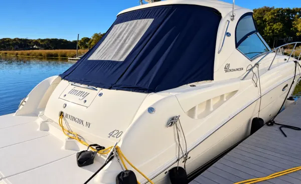 2004 Searay 420 SUNDANCER detail image 10