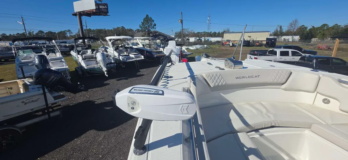 2024 World cat 295 CC