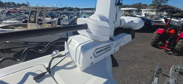 2024 World cat 295 CC