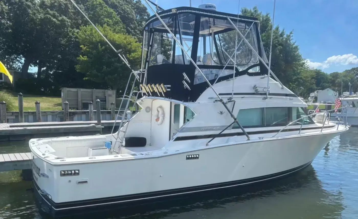 boat Image