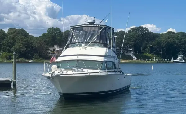 1989 Bertram 33 SPORT FISHERMAN detail image 2